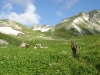 verso il campo